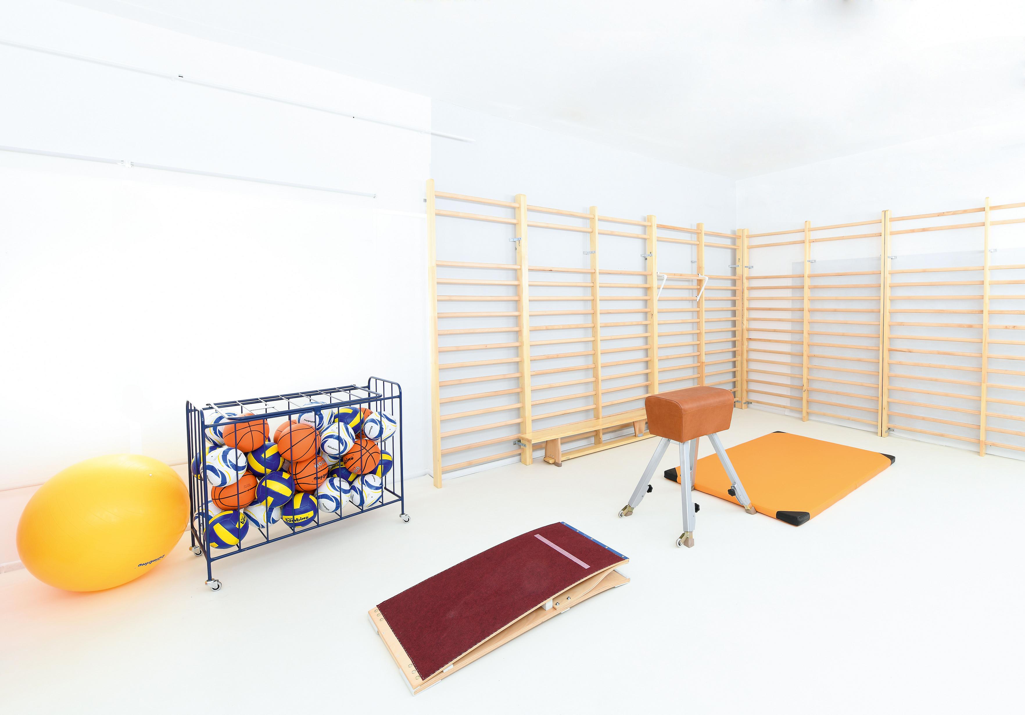 Sprossenwand - doppelt - 256 cm im Sportraum mit Geräten.